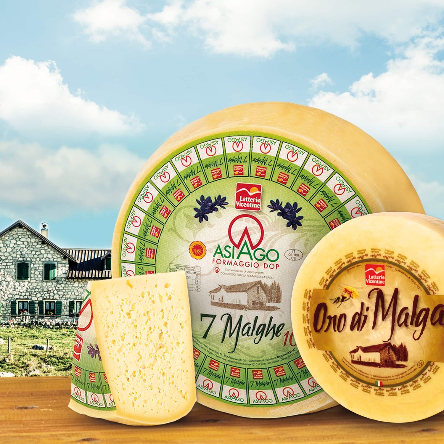 Formaggi latte di Malga