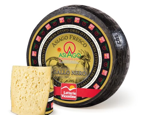 Asiago Fresco gallo Nero